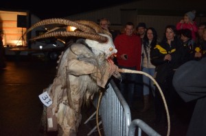 Perchtenlauf 2016 00119 