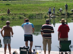 teichfest-2012-0023    