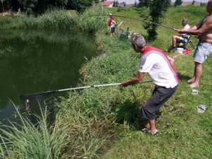 teichfest-2012-0039    