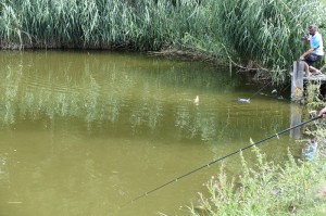 Preisfischen 2017 10022