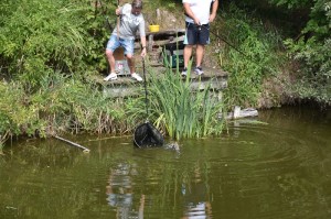 Preisfischen 2017 10037