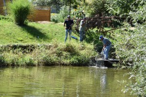 Preisfischen 2017 10061