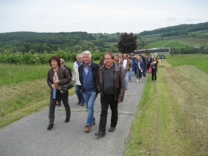 Weinblütenfest 2016 0002 