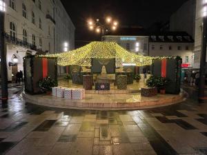 ah herbstauflug buda 2025nov-13