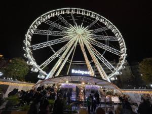 ah herbstauflug buda 2025nov-14