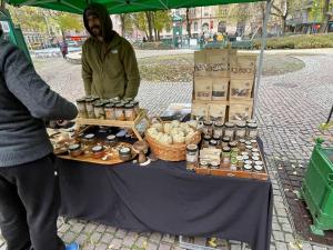 ah herbstauflug buda 2025nov-15