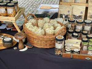 ah herbstauflug buda 2025nov-16