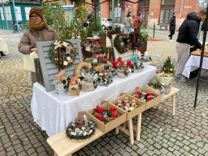 ah herbstauflug buda 2025nov-18