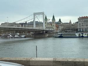 ah herbstauflug buda 2025nov-32