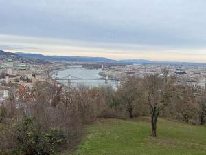 ah herbstauflug buda 2025nov-35