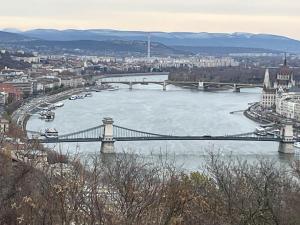 ah herbstauflug buda 2025nov-36