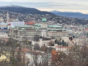 ah herbstauflug buda 2025nov-37