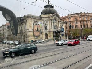 ah herbstauflug buda 2025nov-47