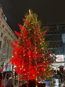 ah herbstauflug buda 2025nov-9