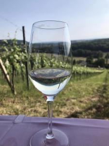 Weinbluetenfest_AH (23)