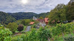 herbstausflug_alt_herren_2023 (13)