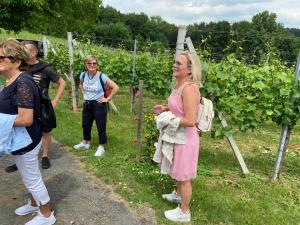 wein_tieschen_2022 (10)